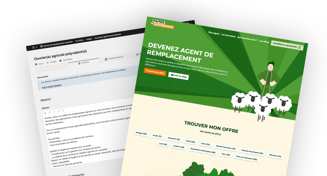 maquettes du site du service de remplacement Occitanie